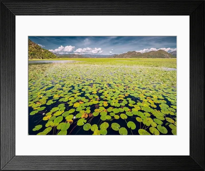 Framed Print : view of the beautiful Skadar Lake Framed Print : view of the beautiful Skadar Lake