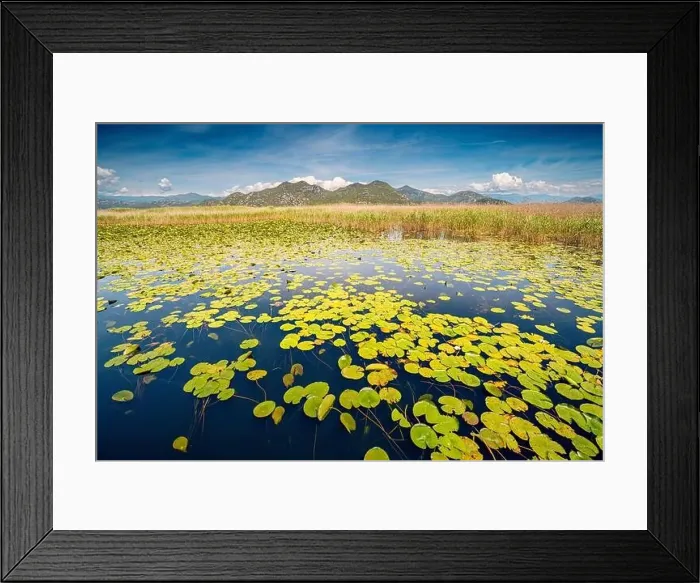 Framed Print : view of the beautiful Skadar Lake Framed Print : view of the beautiful Skadar Lake