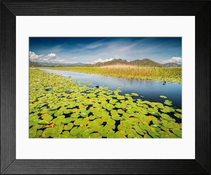 Framed Print : view of the beautiful Skadar Lake Framed Print : view of the beautiful Skadar Lake
