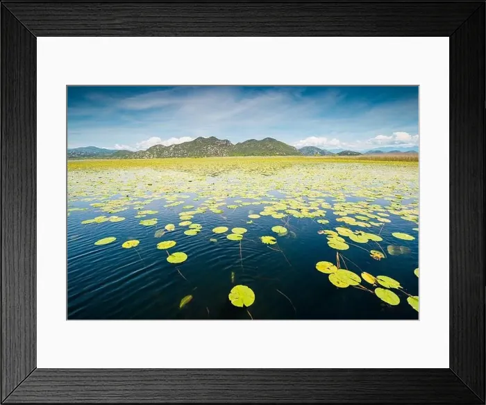 Framed Print : view of the beautiful Skadar Lake Framed Print : view of the beautiful Skadar Lake