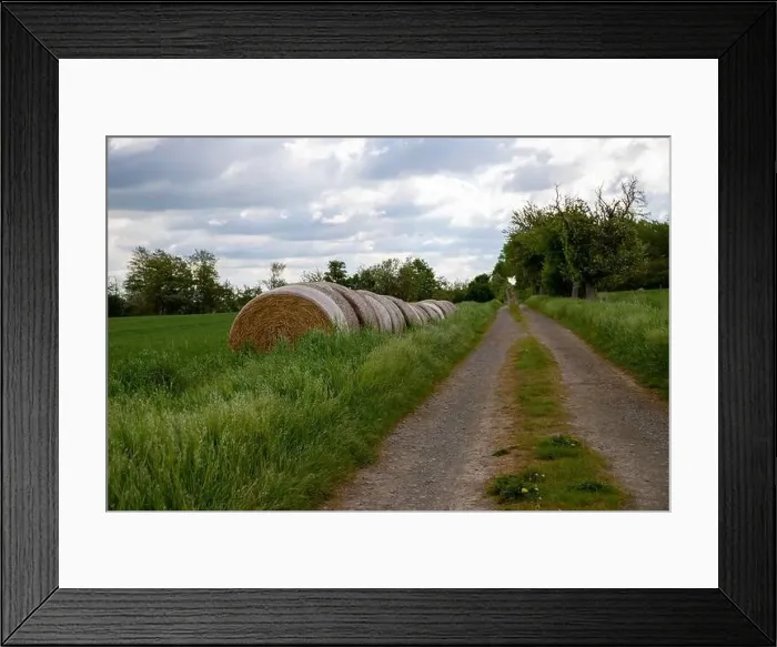 Framed Print : Dirt road with rounds of hay bales at the edge and trees, cloudy. High quality photo Framed Print : Dirt road with rounds of hay bales at the edge and trees, cloudy. High quality photo