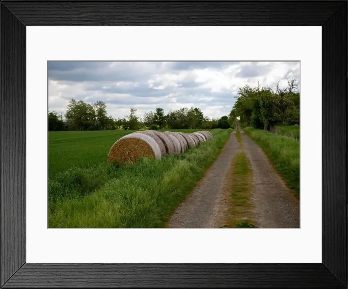 Framed Print : Dirt road with rounds of hay bales at the edge and trees, cloudy. High quality photo Framed Print : Dirt road with rounds of hay bales at the edge and trees, cloudy. High quality photo