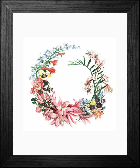 Framed Print : African Flowers. Digital watercolor with a vintage style on a white background Framed Print : African Flowers. Digital watercolor with a vintage style on a white background