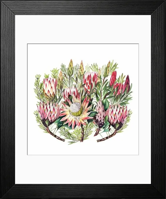 Framed Print : African Flowers. Digital watercolor with a vintage style on a white background Framed Print : African Flowers. Digital watercolor with a vintage style on a white background