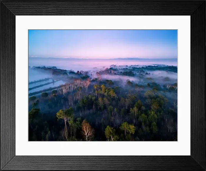 Framed Print : The golden island. Grado Island from above at sunset Framed Print : The golden island. Grado Island from above at sunset