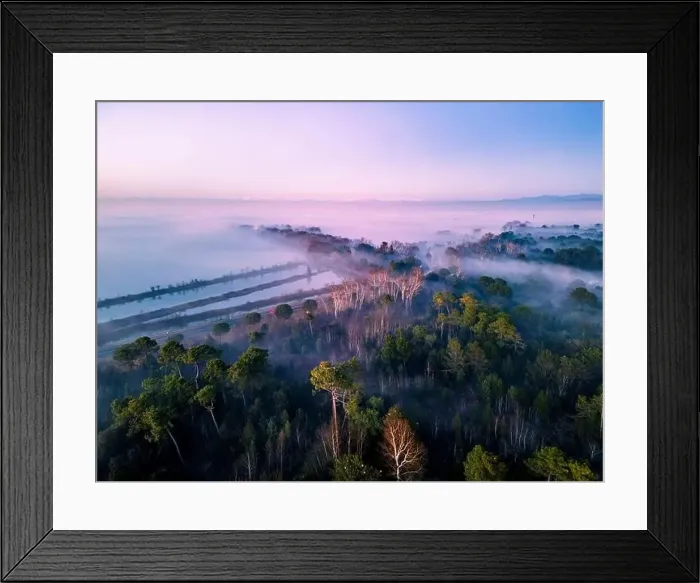 Framed Print : The golden island. Grado Island from above at sunset Framed Print : The golden island. Grado Island from above at sunset