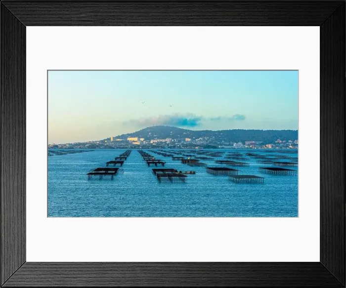 Framed Print : Mont Saint Clair and the Etang de Thau at sunrise, with its oyster tables in Hérault, Occitanie, France Framed Print : Mont Saint Clair and the Etang de Thau at sunrise, with its oyster tables in Hérault, Occitanie, France