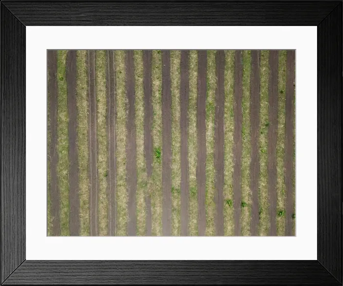 Framed Print : Cultivated dry agricultural field lines road aerial drone top view texture background Framed Print : Cultivated dry agricultural field lines road aerial drone top view texture background