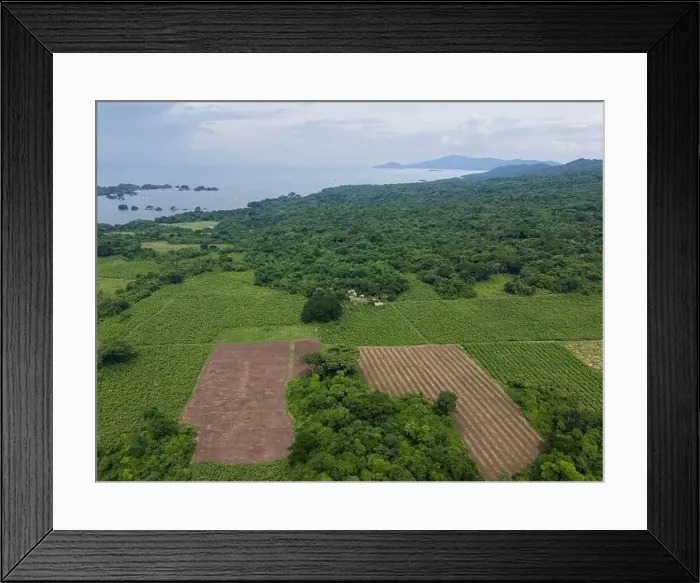 Framed Print : Green agricultural field next to coast aerial drone view Framed Print : Green agricultural field next to coast aerial drone view