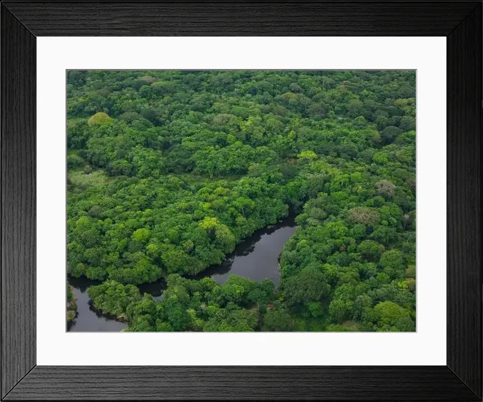 Framed Print : Green tropical jungle with pond aerial drone view Framed Print : Green tropical jungle with pond aerial drone view