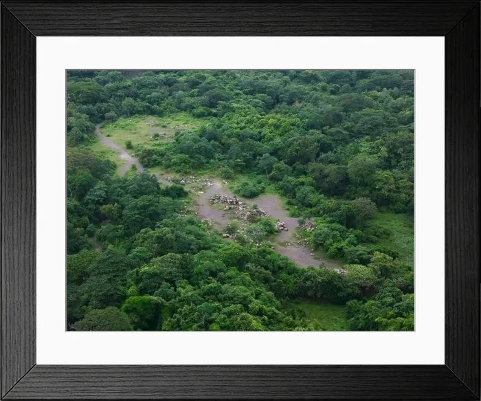 Framed Print : Green forest with rock stones in path aerial drone view Framed Print : Green forest with rock stones in path aerial drone view