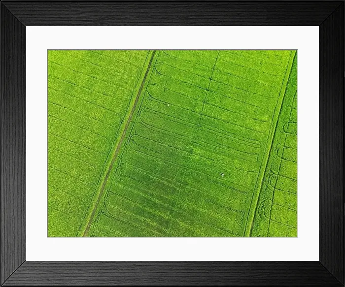 Framed Print : Sustainable agriculture. Aerial view of green rice farm Framed Print : Sustainable agriculture. Aerial view of green rice farm
