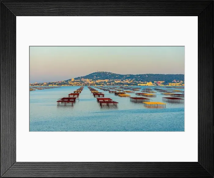 Framed Print : Oyster tables on the Etang de Thau, and Mont Saint Clair at sunset, in Occitanie, France Framed Print : Oyster tables on the Etang de Thau, and Mont Saint Clair at sunset, in Occitanie, France
