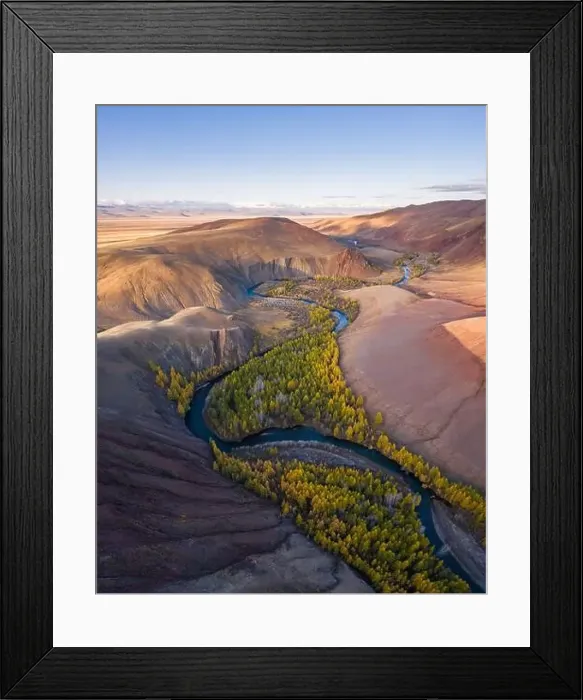 Framed Print : Red Hills of Clay, Mountains, Larches and Meanders of River in Autumn Framed Print : Red Hills of Clay, Mountains, Larches and Meanders of River in Autumn