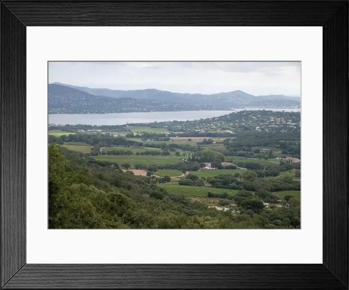 Framed Print : Aerial view on green hills, pine trees and oaks Framed Print : Aerial view on green hills, pine trees and oaks