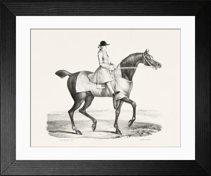 Framed Print : Vintage Horse Illustration. Plate from a 19th-century book on racehorses and saddle horses, published in London Framed Print : Vintage Horse Illustration. Plate from a 19th-century book on racehorses and saddle horses, published in London