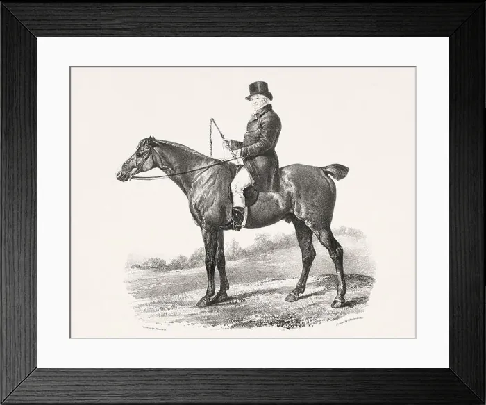 Framed Print : Vintage Horse Illustration. Plate from a 19th-century book on racehorses and saddle horses, published in London Framed Print : Vintage Horse Illustration. Plate from a 19th-century book on racehorses and saddle horses, published in London