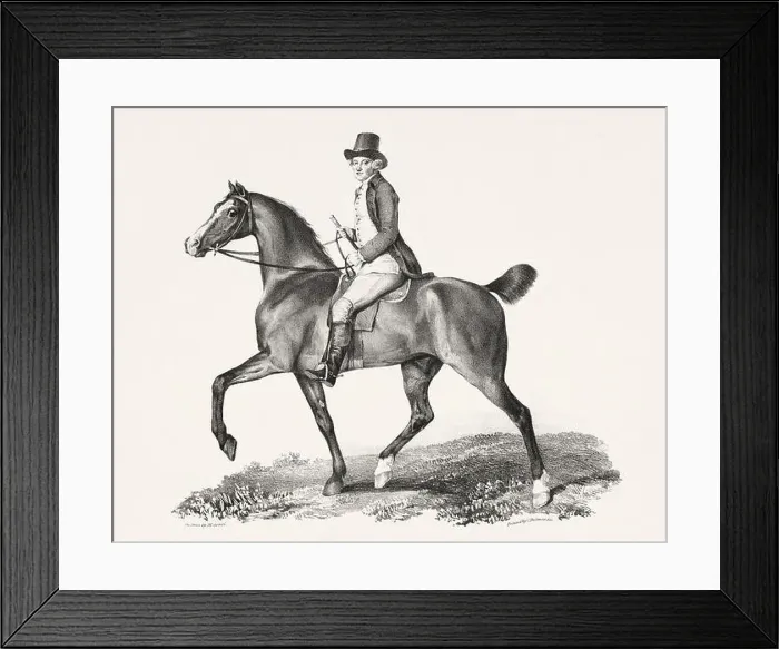 Framed Print : Vintage Horse Illustration. Plate from a 19th-century book on racehorses and saddle horses, published in London Framed Print : Vintage Horse Illustration. Plate from a 19th-century book on racehorses and saddle horses, published in London