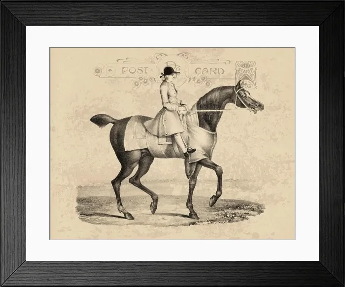 Framed Print : Riding horse drawing. Vintage-style illustration on an aged beige postcard paper background Framed Print : Riding horse drawing. Vintage-style illustration on an aged beige postcard paper background