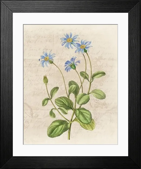 Framed Print : Floral illustration with digital watercolor on grunge beige, evoking antique handwritten paper Framed Print : Floral illustration with digital watercolor on grunge beige, evoking antique handwritten paper