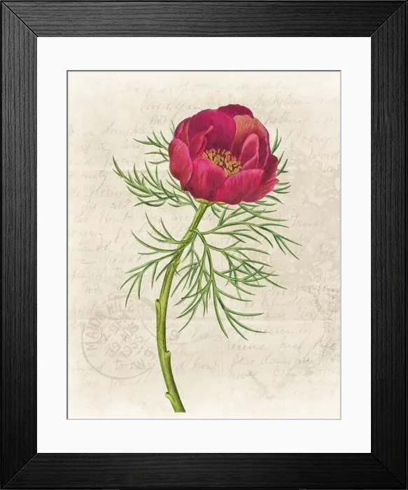 Framed Print : Floral illustration with digital watercolor on grunge beige, evoking antique handwritten paper Framed Print : Floral illustration with digital watercolor on grunge beige, evoking antique handwritten paper