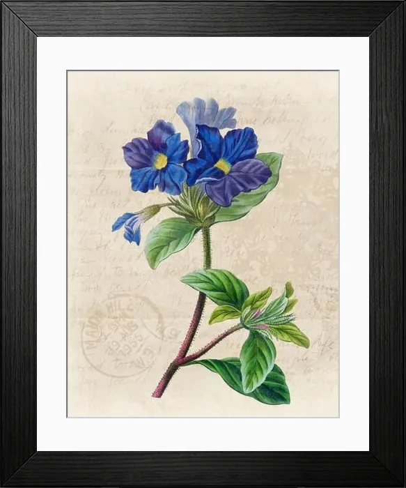 Framed Print : Floral illustration with digital watercolor on grunge beige, evoking antique handwritten paper Framed Print : Floral illustration with digital watercolor on grunge beige, evoking antique handwritten paper