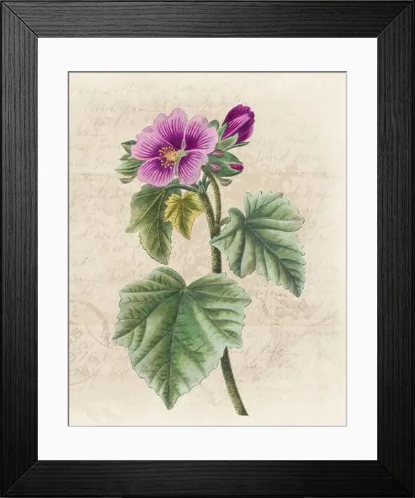 Framed Print : Floral illustration with digital watercolor on grunge beige, evoking antique handwritten paper Framed Print : Floral illustration with digital watercolor on grunge beige, evoking antique handwritten paper