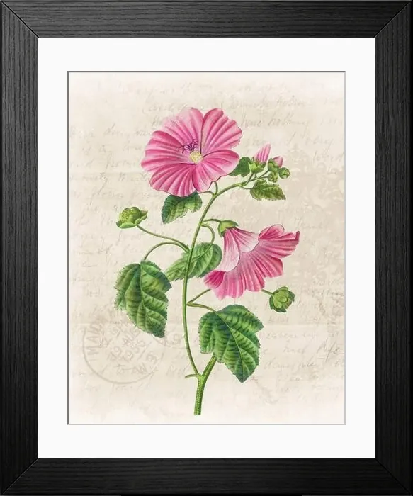 Framed Print : Floral illustration with digital watercolor on grunge beige, evoking antique handwritten paper Framed Print : Floral illustration with digital watercolor on grunge beige, evoking antique handwritten paper