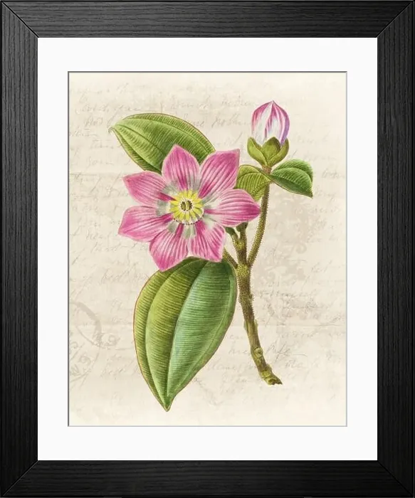 Framed Print : Floral illustration with digital watercolor on grunge beige, evoking antique handwritten paper Framed Print : Floral illustration with digital watercolor on grunge beige, evoking antique handwritten paper