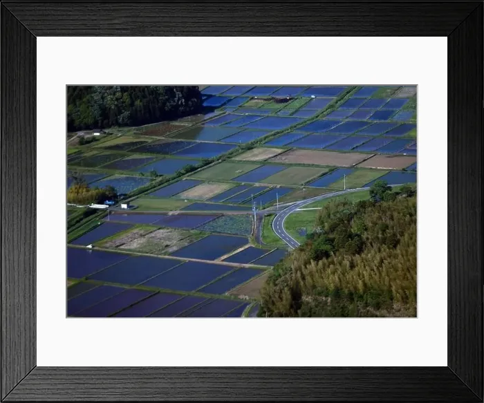 Framed Print : the big scale of fields in Ibaraki prefecture, near the Tokyo metropolitan area Framed Print : the big scale of fields in Ibaraki prefecture, near the Tokyo metropolitan area
