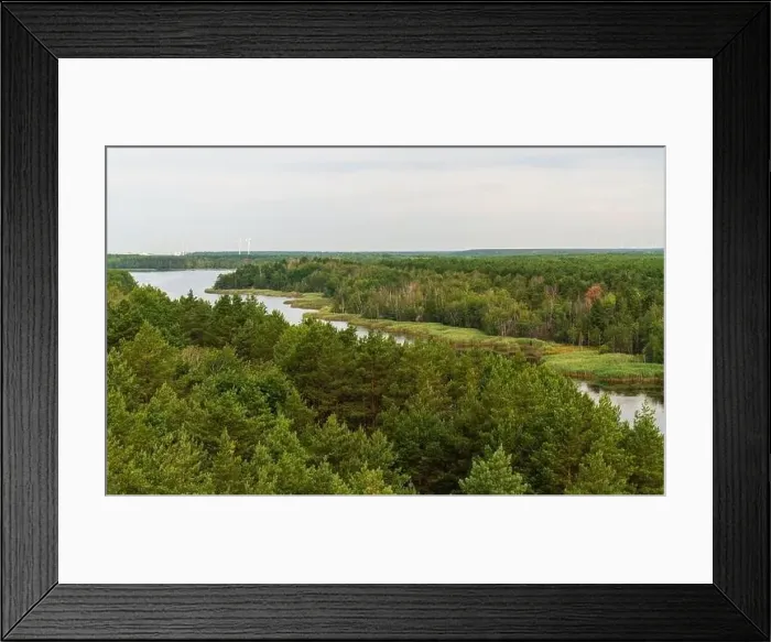 Framed Print : aerial drone of Lake Senftenberg, green forests. Senftenberg Lake Brandenburg Germany. Beauty of nature Framed Print : aerial drone of Lake Senftenberg, green forests. Senftenberg Lake Brandenburg Germany. Beauty of nature