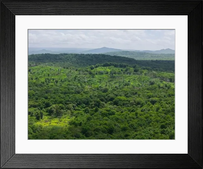 Framed Print : Green jungle landscape background aerial drone view Framed Print : Green jungle landscape background aerial drone view
