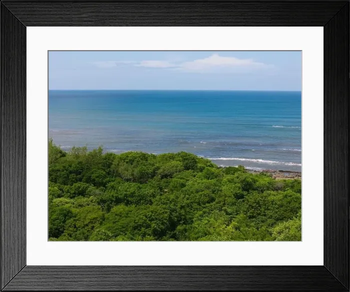 Framed Print : Tree nature on blue sea and sky background on bright sunny day Framed Print : Tree nature on blue sea and sky background on bright sunny day