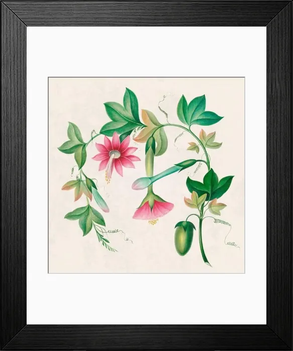 Framed Print : Tropical Flowers. Colorful flower illustration. Digital watercolor on a rustic beige background Framed Print : Tropical Flowers. Colorful flower illustration. Digital watercolor on a rustic beige background