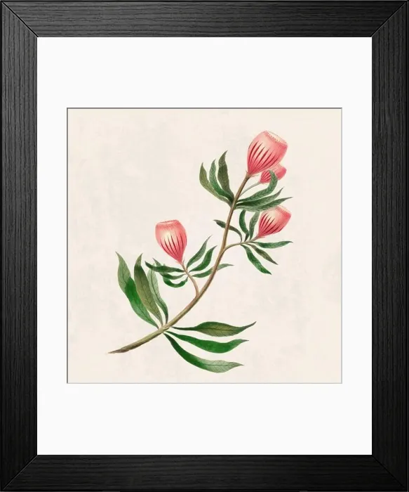 Framed Print : Tropical Flowers. Colorful flower illustration. Digital watercolor on a rustic beige background Framed Print : Tropical Flowers. Colorful flower illustration. Digital watercolor on a rustic beige background