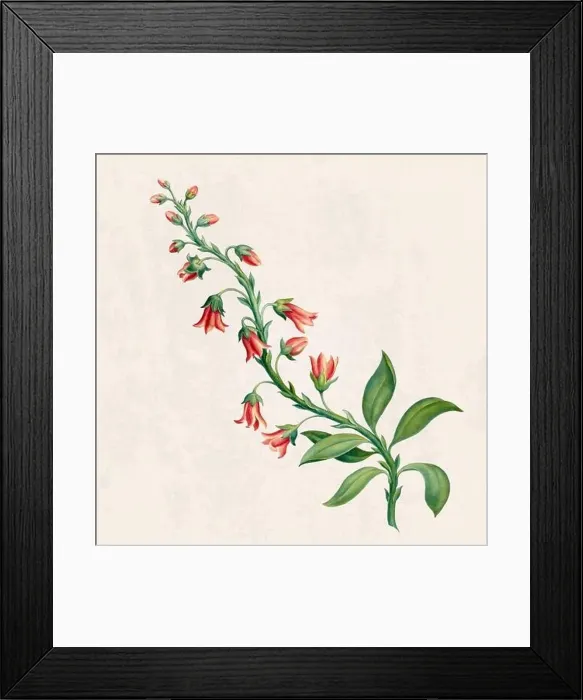 Framed Print : Tropical Flowers. Colorful flower illustration. Digital watercolor on a rustic beige background Framed Print : Tropical Flowers. Colorful flower illustration. Digital watercolor on a rustic beige background
