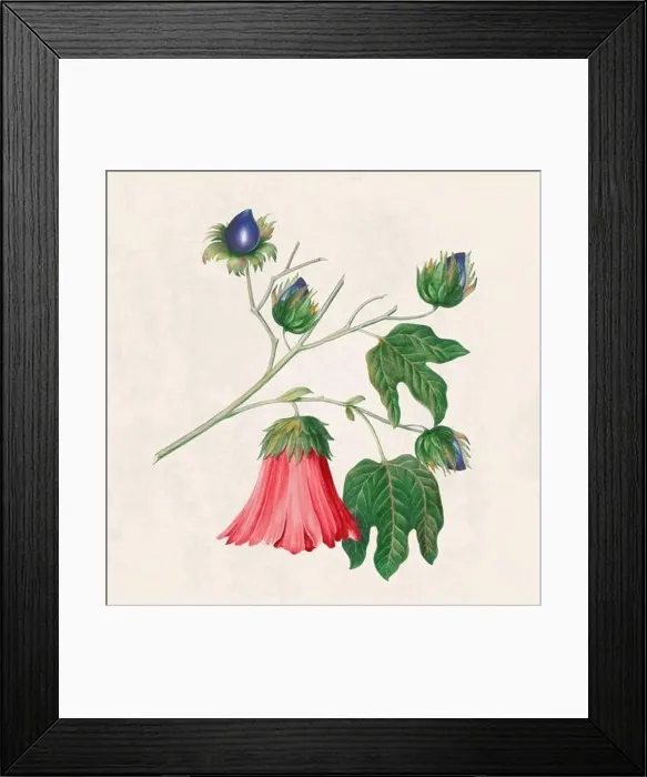 Framed Print : Tropical Flowers. Colorful flower illustration. Digital watercolor on a rustic beige background Framed Print : Tropical Flowers. Colorful flower illustration. Digital watercolor on a rustic beige background