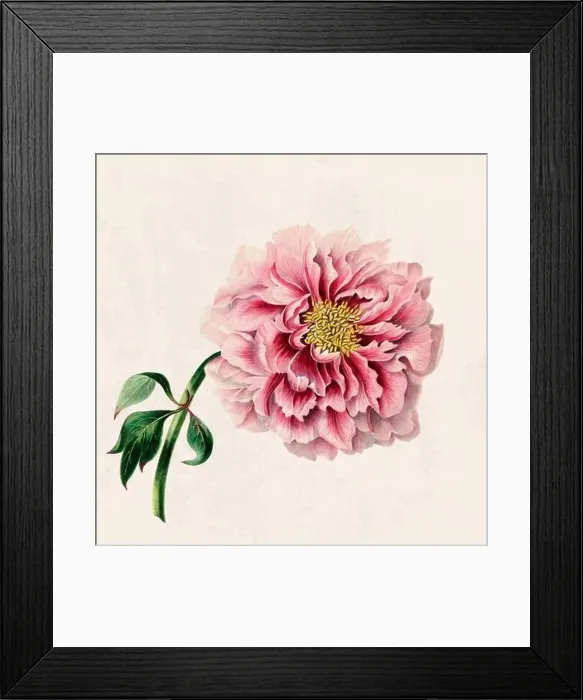 Framed Print : Tropical Flowers. Colorful flower illustration. Digital watercolor on a rustic beige background Framed Print : Tropical Flowers. Colorful flower illustration. Digital watercolor on a rustic beige background