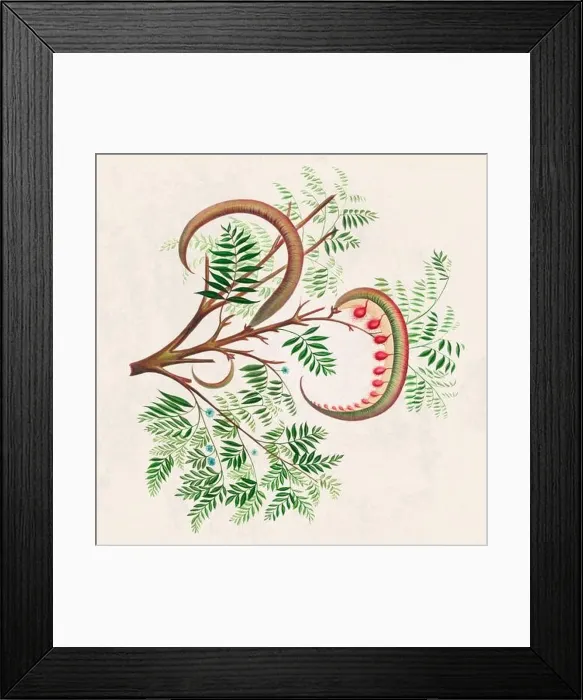 Framed Print : Tropical Fruit. Colorful Fruit illustration. Digital watercolor on a rustic beige background Framed Print : Tropical Fruit. Colorful Fruit illustration. Digital watercolor on a rustic beige background