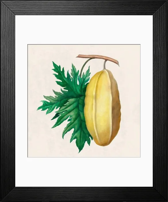 Framed Print : Tropical Fruit. Colorful Fruit illustration. Digital watercolor on a rustic beige background Framed Print : Tropical Fruit. Colorful Fruit illustration. Digital watercolor on a rustic beige background