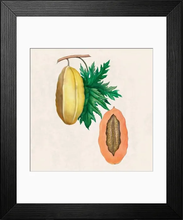 Framed Print : Tropical Fruit. Colorful Fruit illustration. Digital watercolor on a rustic beige background Framed Print : Tropical Fruit. Colorful Fruit illustration. Digital watercolor on a rustic beige background