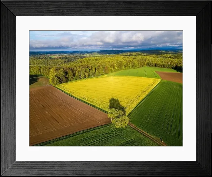 Framed Print : An absolutely stunning aerial photograph brilliantly showcasing the vibrant colorful patchwork of autumn crops Framed Print : An absolutely stunning aerial photograph brilliantly showcasing the vibrant colorful patchwork of autumn crops