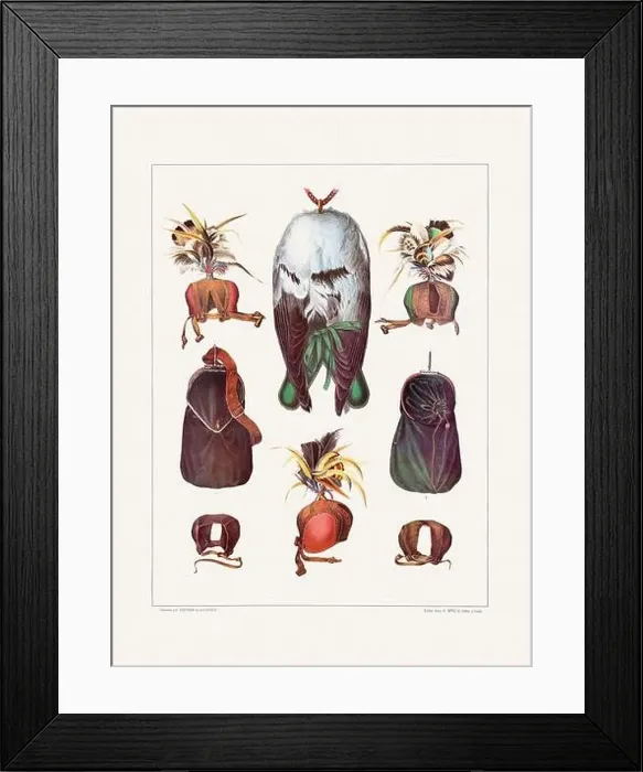 Framed Print : Vintage falconry illustration from a French book published in the mid-19th century. Circa 1845 Framed Print : Vintage falconry illustration from a French book published in the mid-19th century. Circa 1845