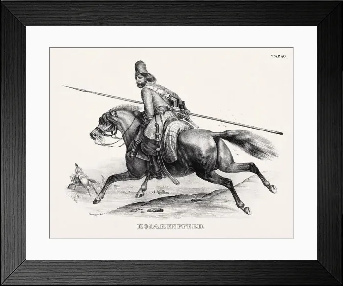 Framed Print : Horse Illustration. Zoological Lithography. Natural History Art