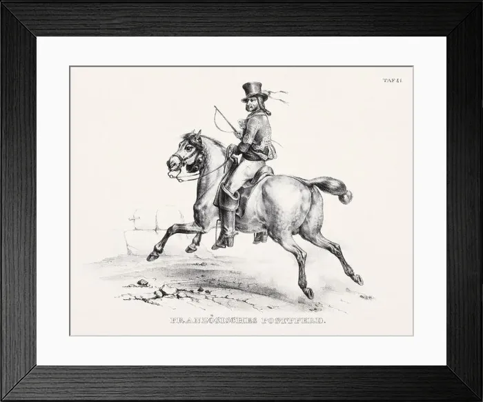 Framed Print : Horse Illustration. Zoological Lithography. Natural History Art