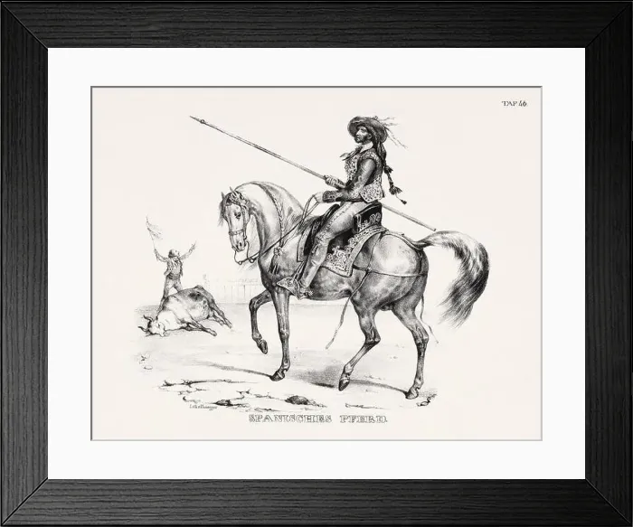 Framed Print : Horse Illustration. Zoological Lithography. Natural History Art