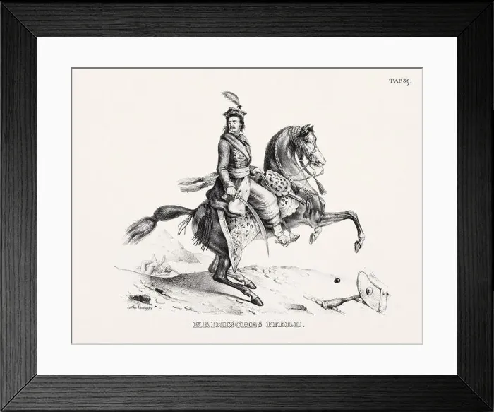 Framed Print : Horse Illustration. Zoological Lithography. Natural History Art