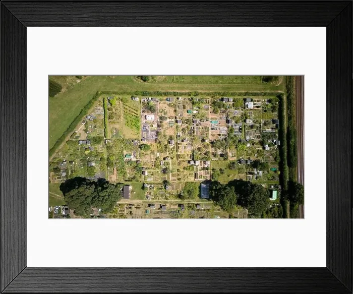 Framed Print : Aerial drone birdseye view of allotments gardens in Norfolk Framed Print : Aerial drone birdseye view of allotments gardens in Norfolk