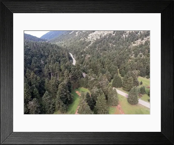 Framed Print : Road and a forest glade among fir trees in mountains, aerial drone view. Spring season Framed Print : Road and a forest glade among fir trees in mountains, aerial drone view. Spring season