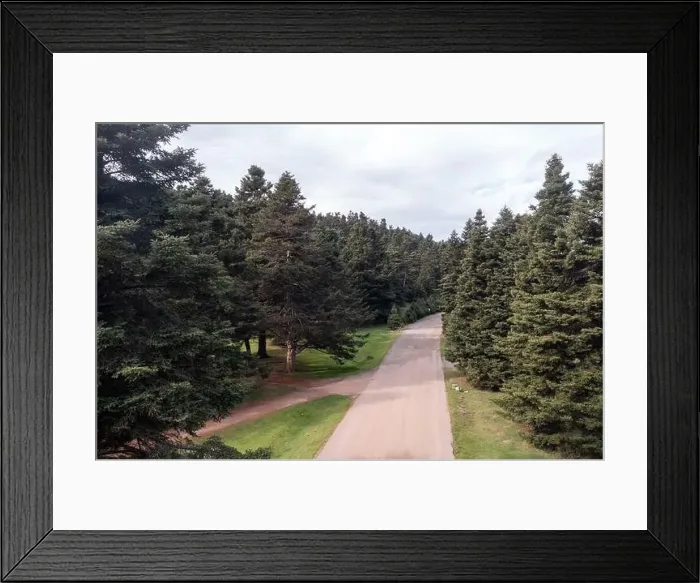 Framed Print : Road and a forest glade among fir trees in mountains, aerial drone view. Cloudy sky, Spring season Framed Print : Road and a forest glade among fir trees in mountains, aerial drone view. Cloudy sky, Spring season